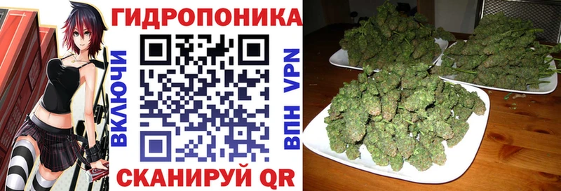 где найти наркотики  Лесозаводск  Бошки Шишки White Widow 
